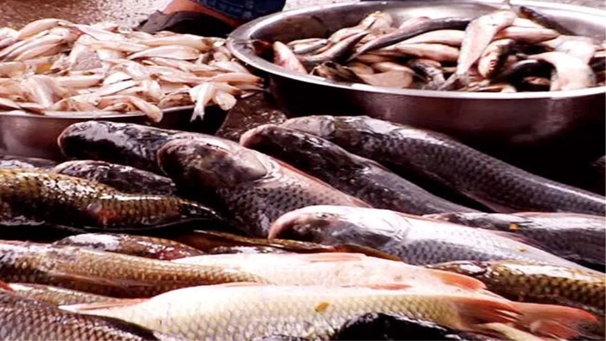 Faridabad News: मछली मार्केट में 18 से अधिक अवैध संपत्तियां पुलिस के निशाने पर हैं, जिन पर बुलडोजर चलेगा।
