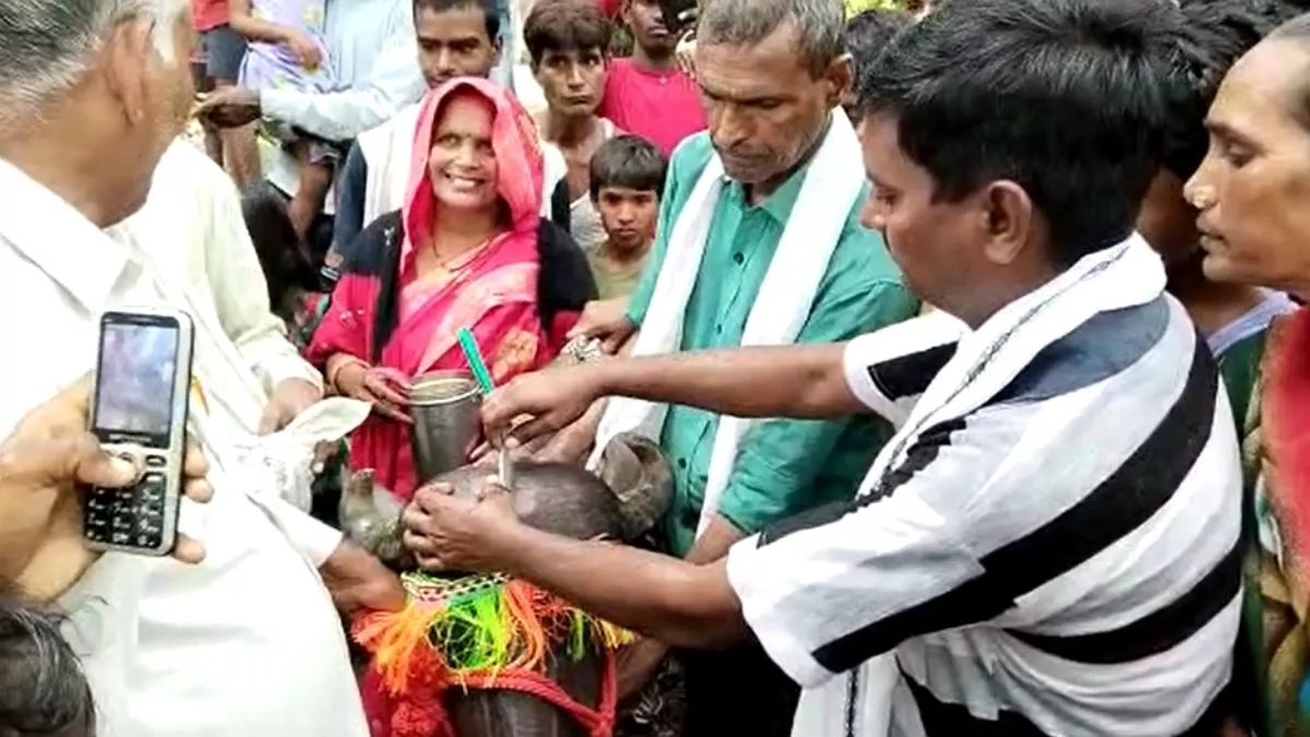 Hardoi News: मन्‍नत पूरी होने पर भैंस की पड़िया का मुंडन, ग्रामीणों व रिश्तेदारों को कराया भोज