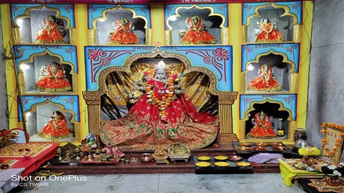 भोपाल का मां वैष्णो धाम आदर्श नौ दुर्गा मंदिर जहां गर्भगृह में नौ दुर्गा विराजमान है