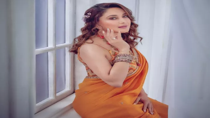 File Photo of Actress Madhuri Dixit Nene