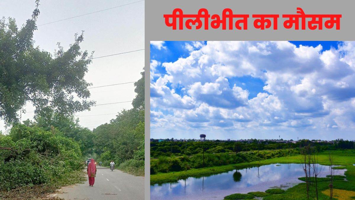 pilibhit
