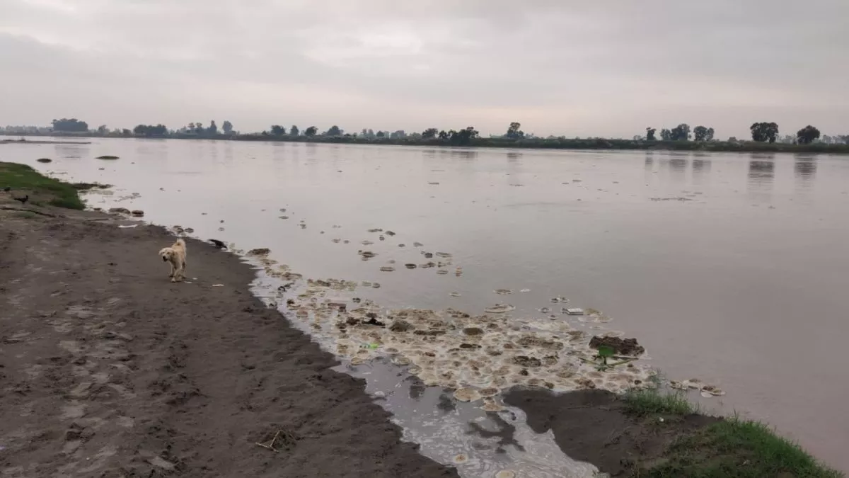 Baghpat News: हथनीकुंड बैराज से यमुना नदी में छोड़ा पानी, मंगलवार रात तक बागपत पहुंचेगा, अलर्ट जारी
