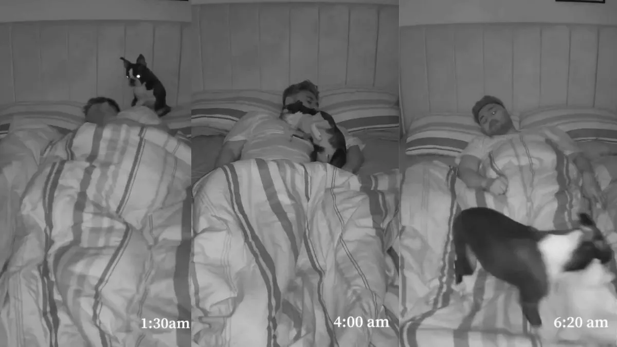Viral Video : रात भर इस शख्स की डॉग ने उड़ाई नींद, वीडियो देख लोगों को आया तरस