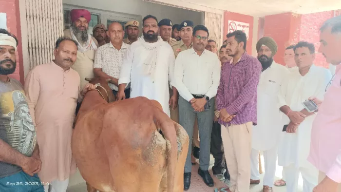 बेसहारा गोवंशों से बढ़ रहे हादसे, लोगों ने रोष जता SDM ऑफिस के बाहर ग्रिल पर बांधी गाय
