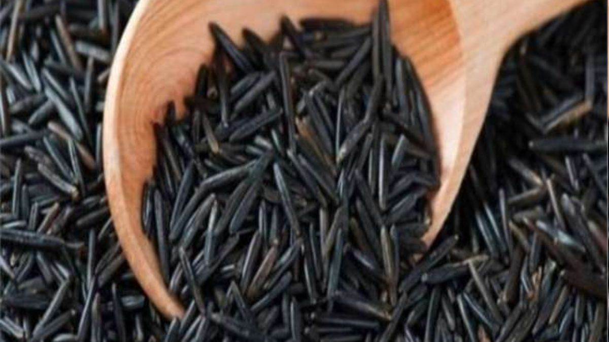 https://www.jagranimages.com/images/newimg/26092023/26_09_2023-kala_namak_rice_23540378.jpg
