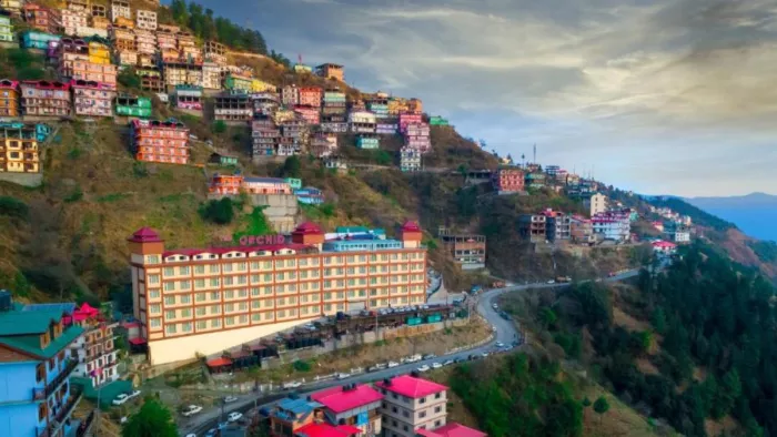 वर्क फ्रॉम होम के लिए शिमला से बेस्ट कुछ नहीं, वादियों में लुत्फ उठा रहे कॉरपोरेट सेक्टर के कर्मचारी