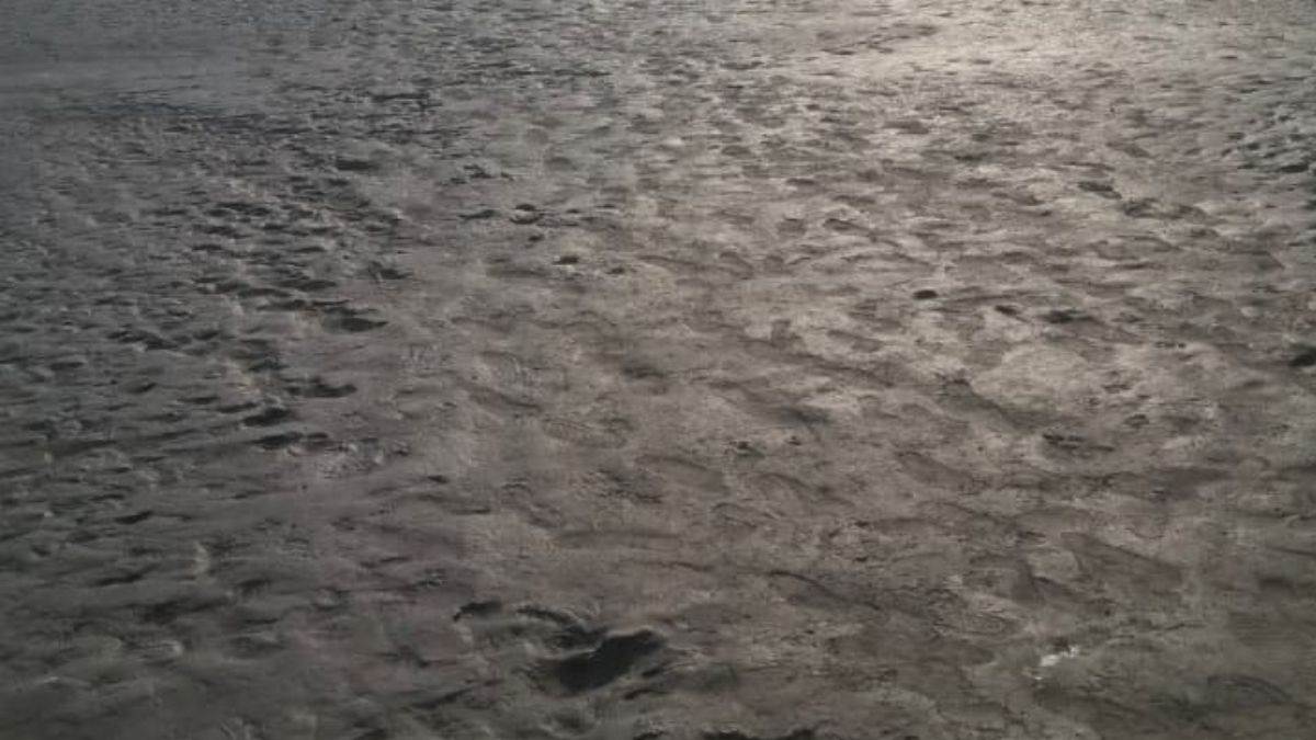 https://www.jagranimages.com/images/newimg/26092025/26_09_2025-ganga_24061423_224159536.jpg