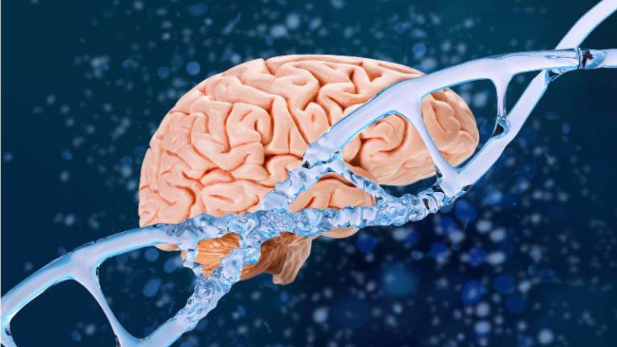 gene therapy offers new hope for huntington disease slows progression by up to 75 percent