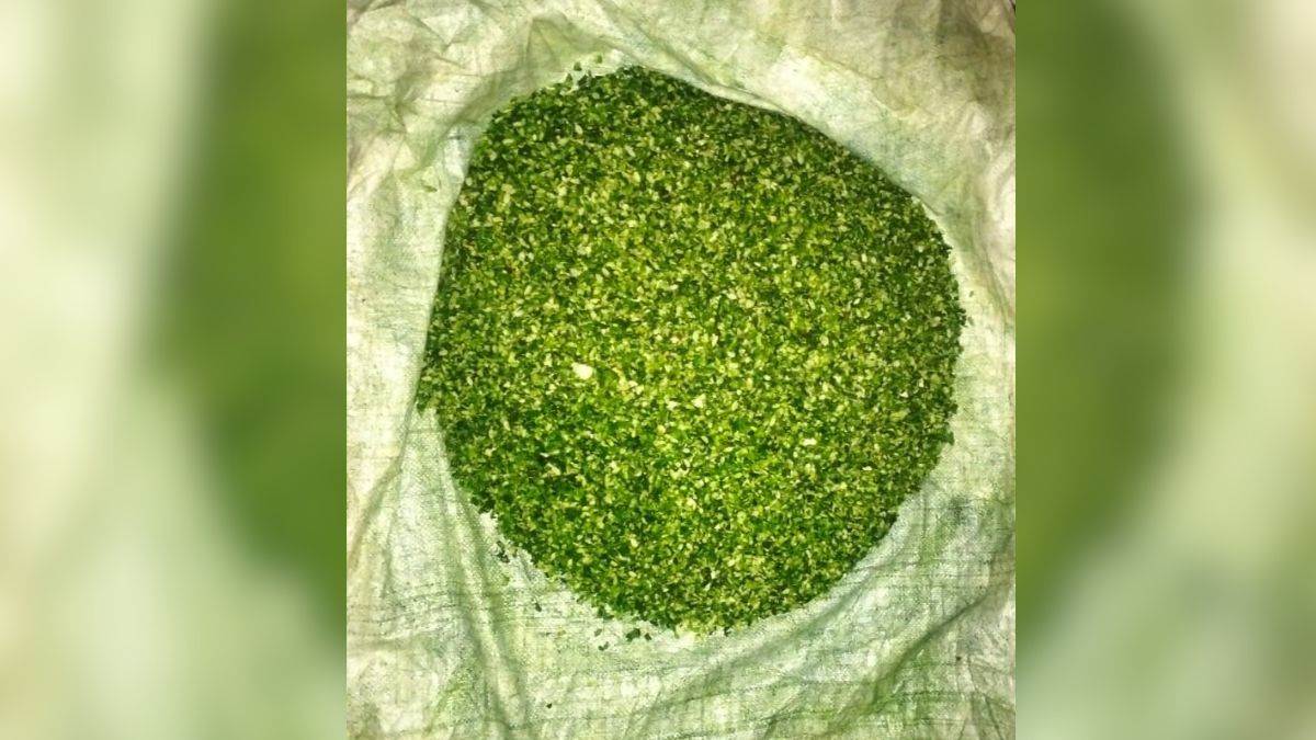 https://www.jagranimages.com/images/newimg/26092025/26_09_2025-green_poha_24060875.jpg