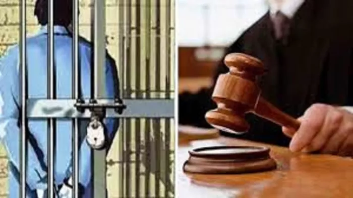 जिला सत्र न्यायाधीश ने युवक की हत्या मामले में दो सगे भाइयों को आजीवन कारावास की सजा सुनाई।