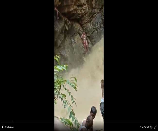 VIDEO: पानी के तेज बहाव के बीच अटकी मां-मासूम की जान, वन विभाग ने अंजाम दिया ऐसा खतरनाक आपरेशन