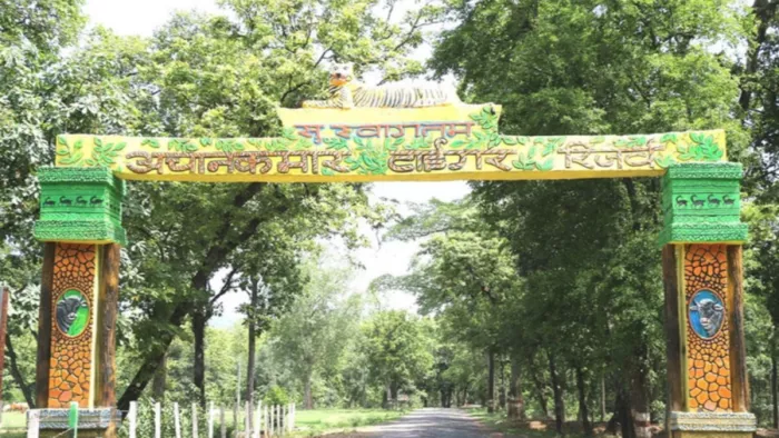 1 नवंबर से अचानकमार टाइगर रिजर्व (Achanakmar Tiger Reserve) पर्यटकों के लिए खुल जाएगा।