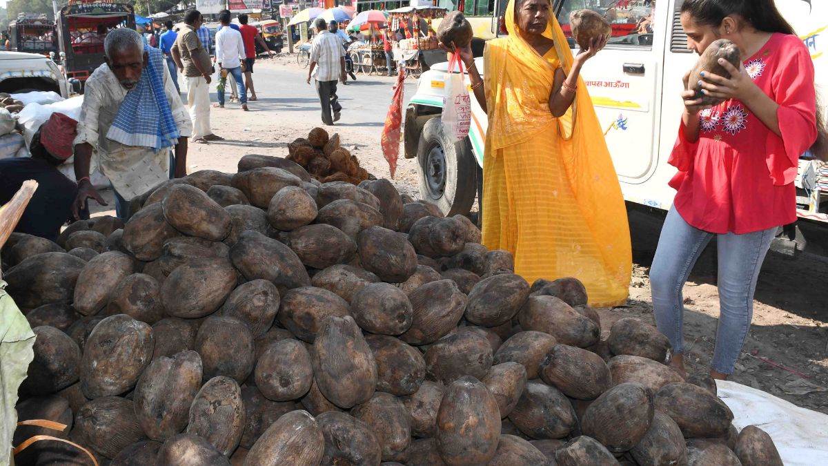 पानी वाले नारियल 50 रुपये जोड़ा उपलब्ध है। photo-jagran