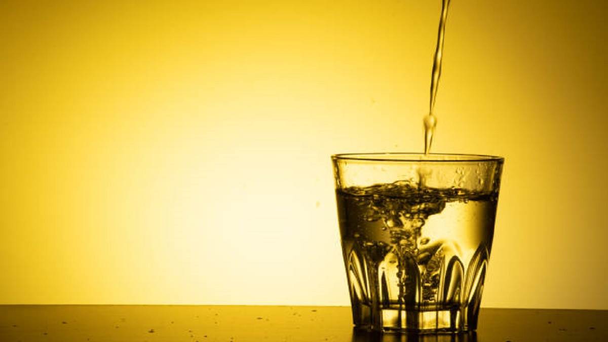 Aquaguard RO के साथ-साथ कैंट, हैवल्स जैसे टॉप ब्रांड भी बेस्ट Water Purifier इन इंडिया की लिस्ट में शामिल