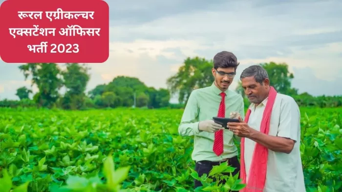 CGPEB Recruitment 2023: छत्तीसगढ़ प्रोफेशनल एग्जामिनेशन बोर्ड रायपुर की ओर से भर्ती निकाली गई है। (image-freepik)