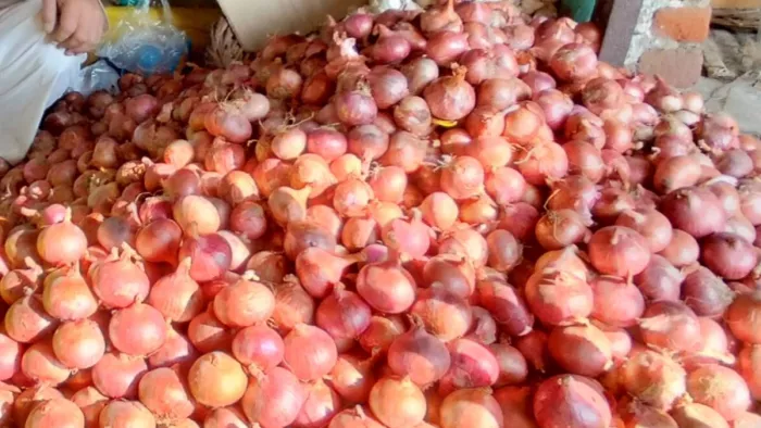 Vegetables Price Hike: त्योहारी सीजन में दोगुनी हुई प्याज की कीमत
