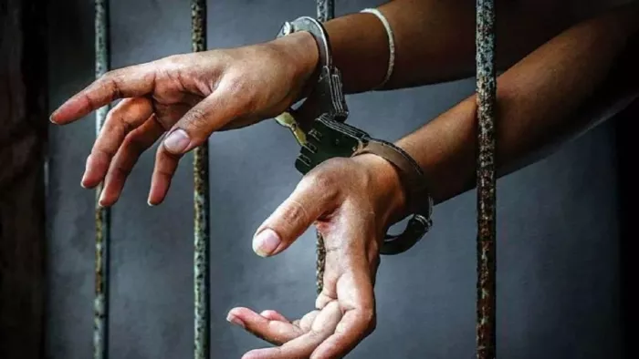 Faridabad News: सेक्टर-सात सीही गेट रोड पर घूमते बेसहारा पशु। जागरण।