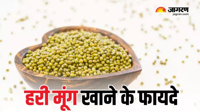 रोज खाएंगे हरी मूंग, तो सेहत को मिलेंगे कई फायदे (Picture Courtesy: Freepik)