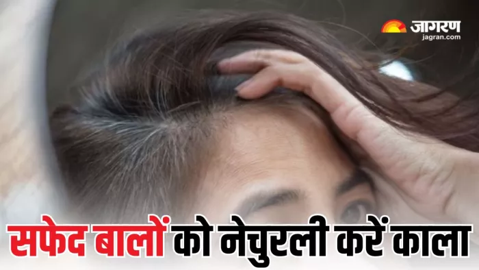बिना डाई के बालों को नेचुरली काला बना देंगे ये उपाय (Picture Courtesy: Freepik)
