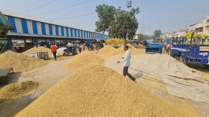 30 अक्टूबर से 2 नवंबर तक बंद रहेगी फतेहाबाद जिले की मंडी