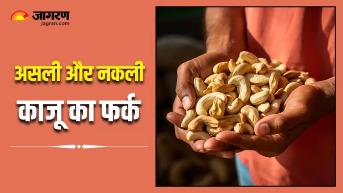 5 आसान तरीकों से करें असली और नकली काजू की पहचान (Image Source: Freepik)