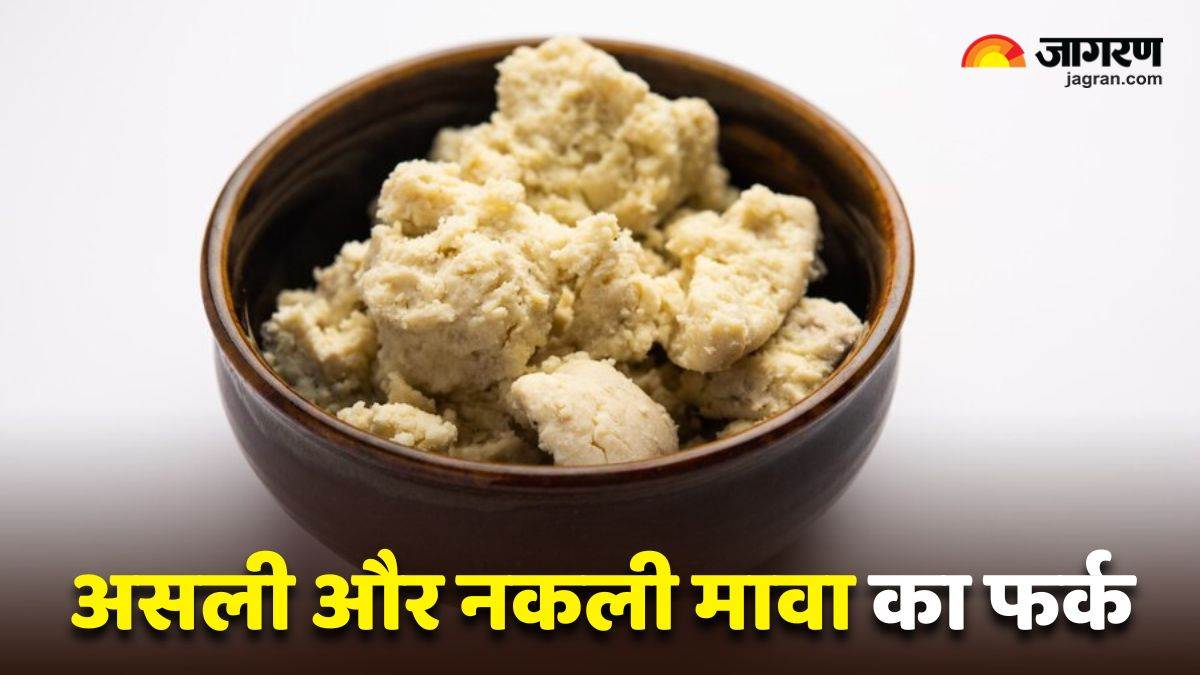 diwali 2024 how to identify real vs fake mawa at home in 5 easy steps
