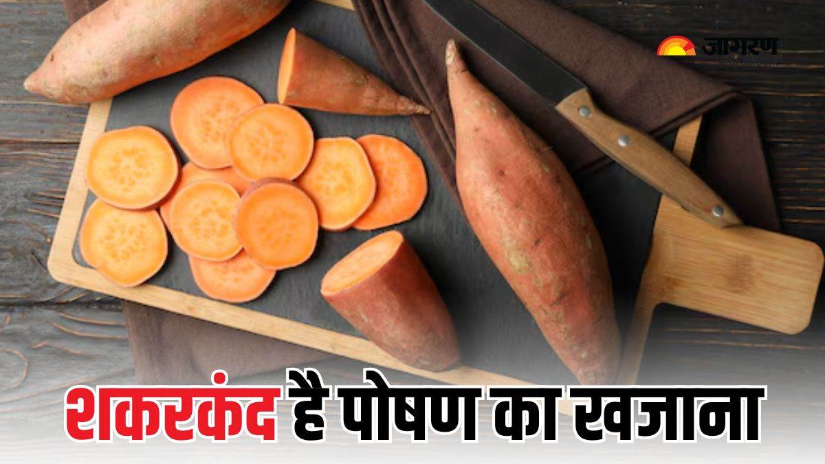 https://www.jagranimages.com/images/newimg/26102024/26_10_2024-sweet_potato_benefits_23822025.jpg