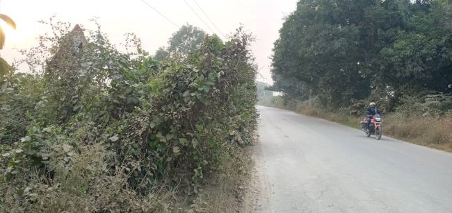 संकेतक न डिवाइडर, अनदेखी बन रही हादसों का कारण