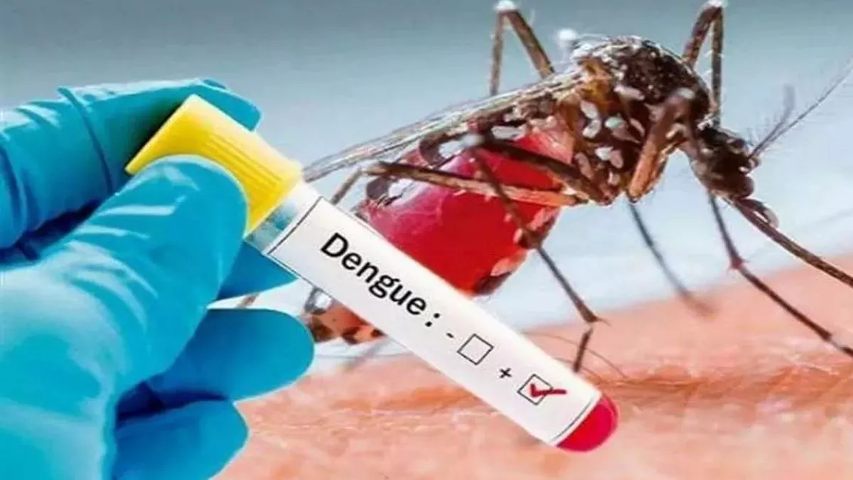 Dengue Cases in Ludhiana: सर्दी में बढ़ा डेंगू का डंक, 33 नए मरीज सामने से सेहत विभाग की बढ़ी चिंता