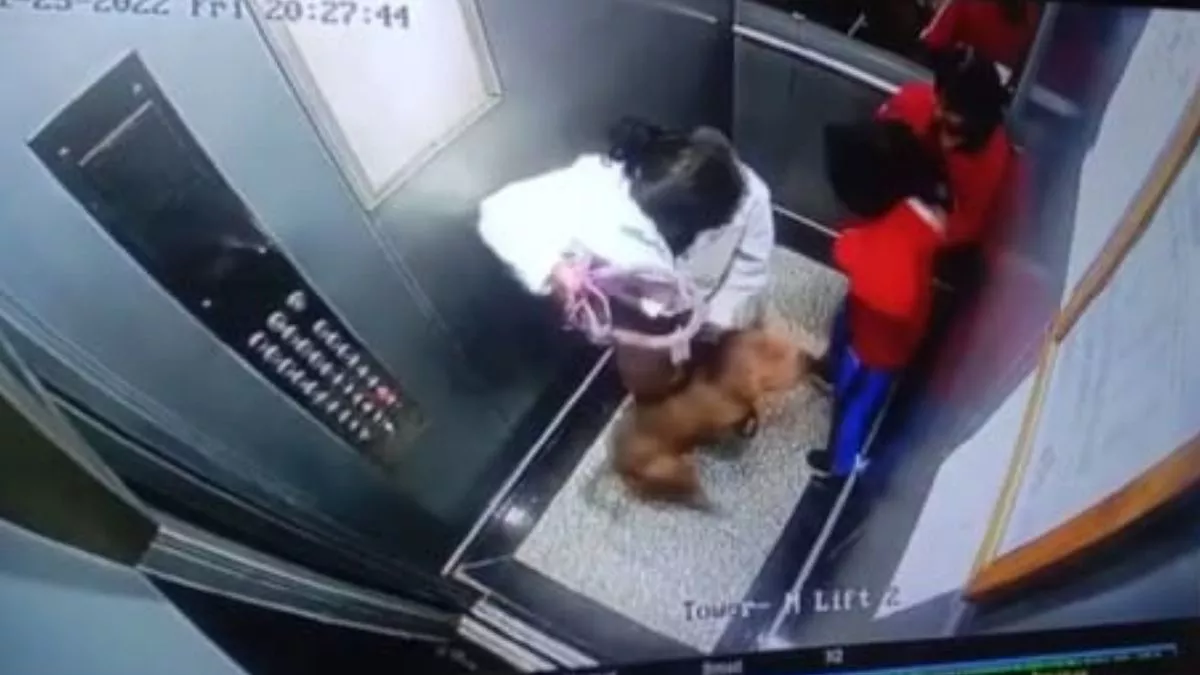 Noida Dog Attack: लिफ्ट में पालतू कुत्ते ने दो बच्चियों पर किया हमला, घटना का वीडियो हो रहा वायरल