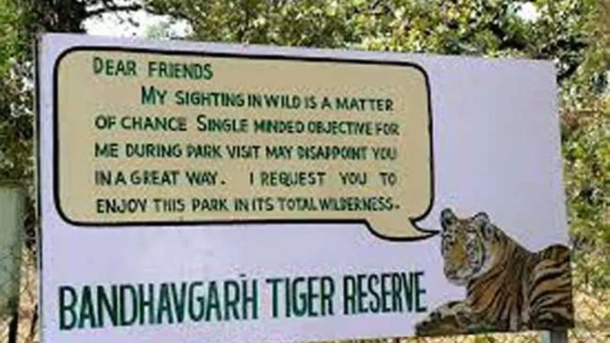 Umaria: बांधवगढ़ टाइगर रिजर्व के पनपथा कोर में बाघ से लड़ते समय मादा तेंदुएं की हुई मौत, नहीं मिला शव