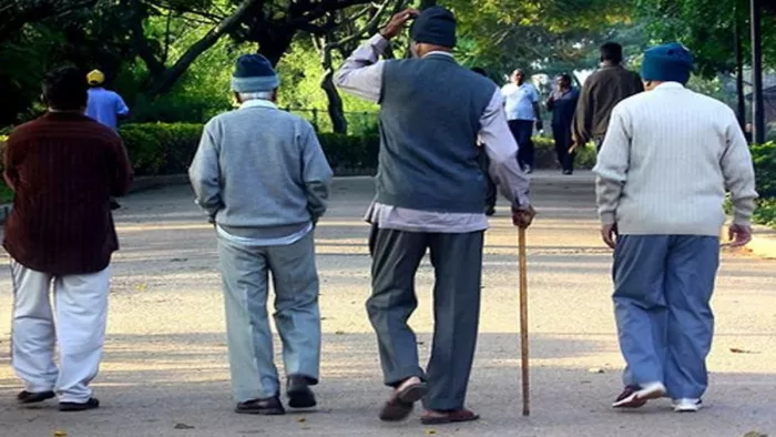 AQI Agra: आगरा में शनिवार सुबह पार्क में ताजी हवा के बीच सैर करने पहुंचे लोग।