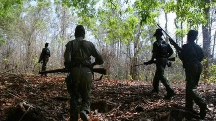 Bijapur Naxal Encounter: सुरक्षाबलों और नक्सलियों के बीच मुठभेड़ में जवानों ने चार नक्सलियों को मार गिराया