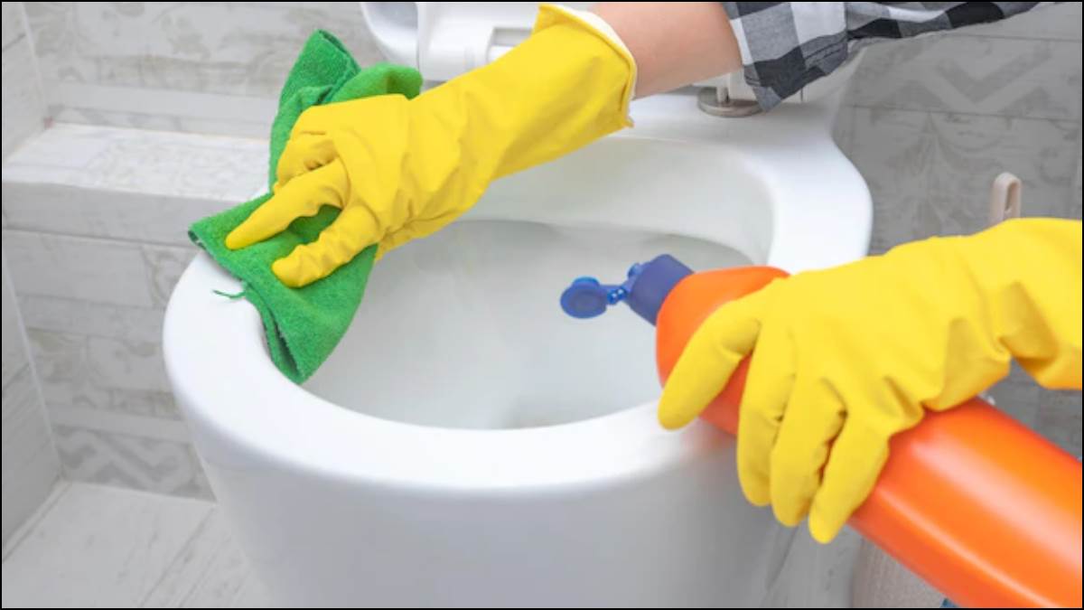 https://www.jagranimages.com/images/newimg/26112022/26_11_2022-toilet_23227627.jpg