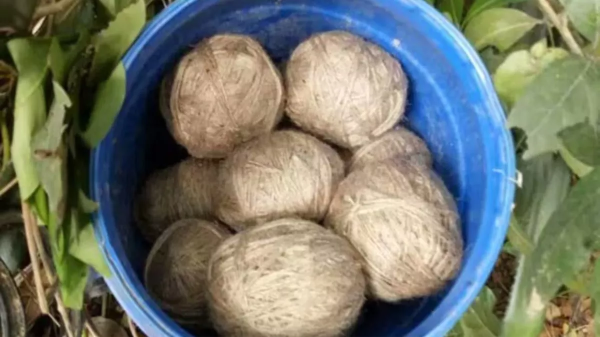 ओडिशा में देसी बम हमले में 2 घायल, घर के बरामदे में बैठे थे युवक; तभी दुश्मन ने कर दी ऐसी हरकत