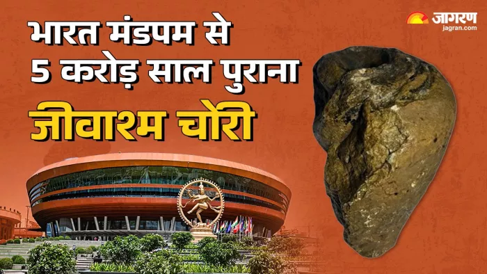 भारतीय अंतरराष्ट्रीय व्यापार मेले में जीएसआई के स्टॉल से हुआ था चोरी।