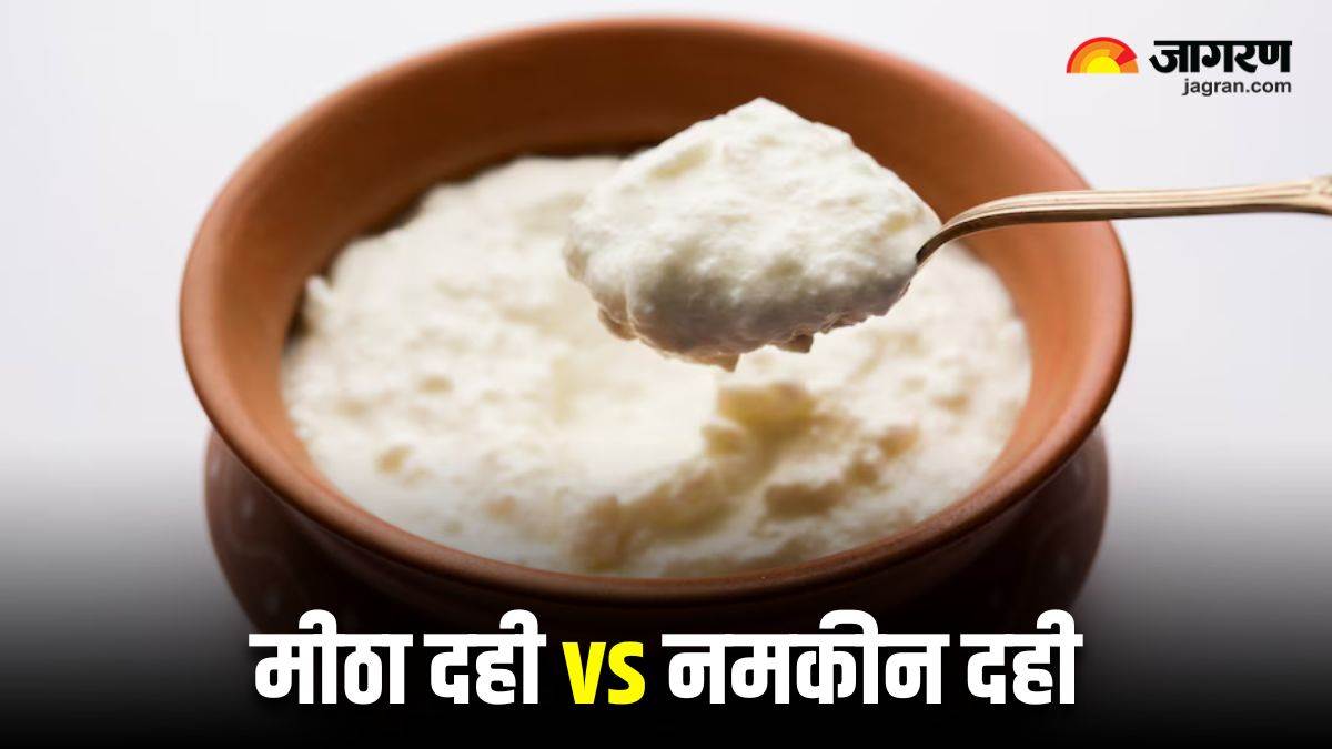 curd with salt or sugar which is healthier dahi me namak dale ya chini