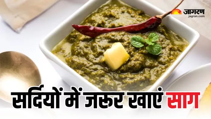पोषण का भंडार है साग, सर्दियों में जरूर बनाना चाहिए डाइट का हिस्सा (Picture Courtesy: Freepik)