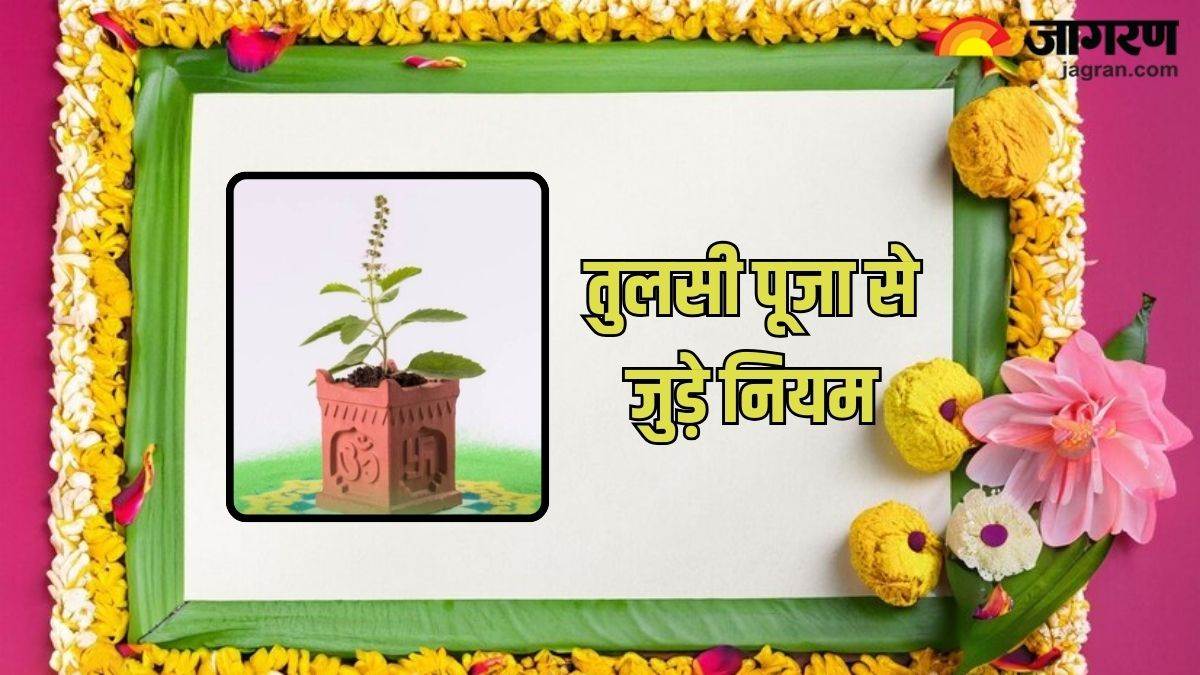 https://www.jagranimages.com/images/newimg/26112024/26_11_2024-tulsi__29_23837390.jpg