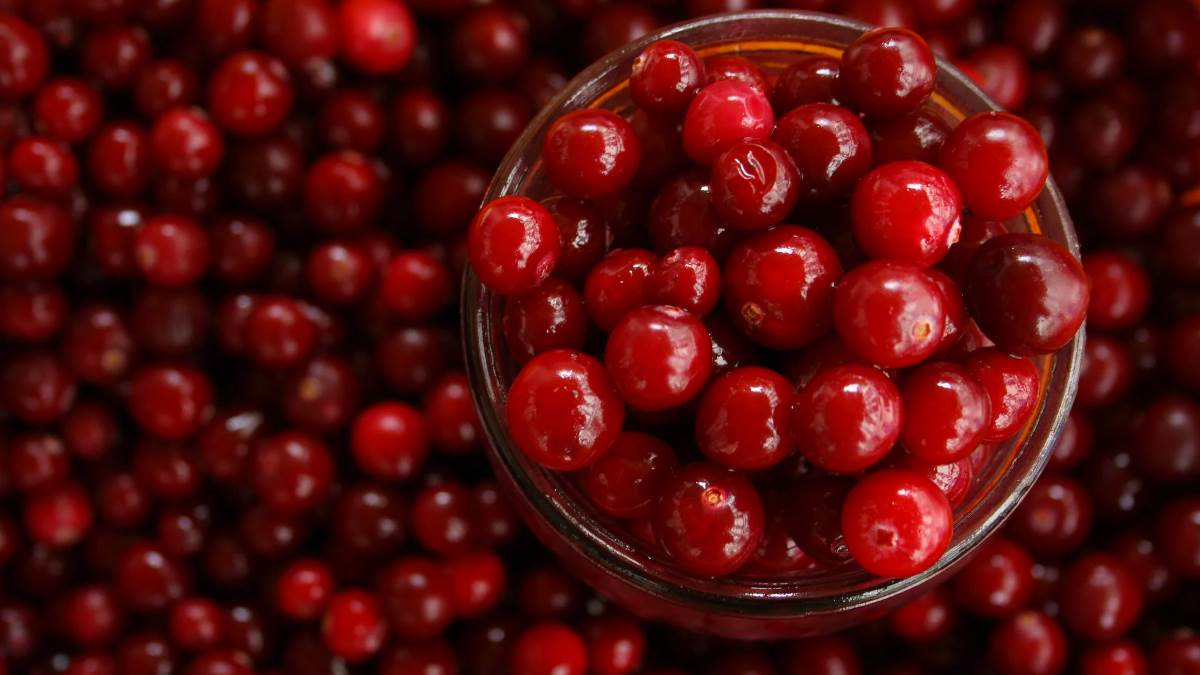 cranberry benefits amazing ways to use cranberries for your skin
