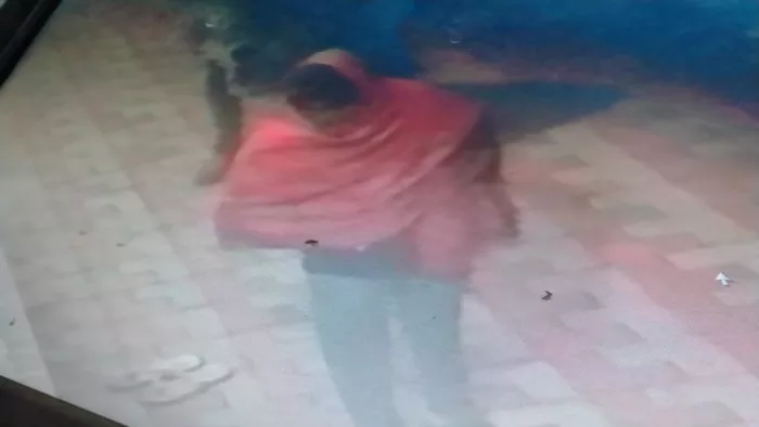 बाबा जाहरवीर गोगाजी मंदिर में चोरों ने बीती रात सेंध लगा दी और दानपात्र उखाड़ ले गए।
