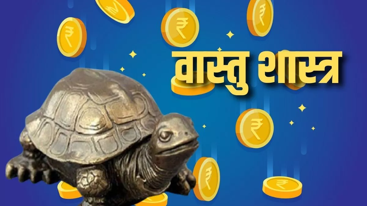 Benefits Of Keeping Tortoise At Home Benefits Of Keeping Tortoise At Home