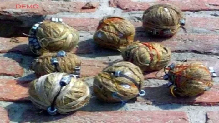 बम निरोधक दस्ते ने बमों को निष्क्रिय कर दिया (फाइल फोटो)