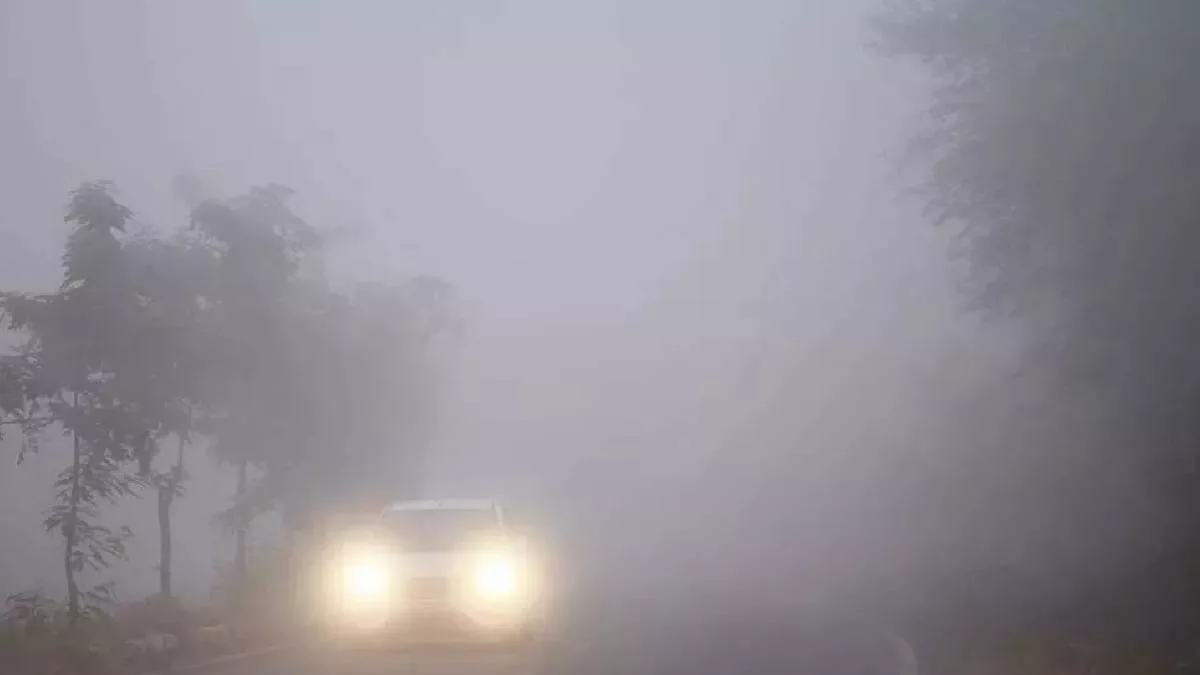 Chandausi News: ठंड के साथ घने कोहरे ने थामी वाहनों की रफ्तार, हाईवे पर  रेंगती दिखी गाड़ियां; जगह-जगह जलता दिखा अलाव - Dense fog along with cold  slowed down the speed of