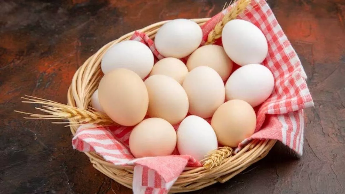 Egg Price Hike: सर्दी ने बढ़ाई अंडे की डिमांड, आसमान छूने लगे दाम; इतनी है एक अंडे की कीमत