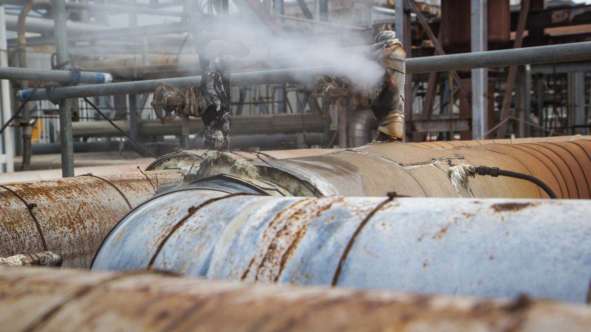 gujarat vadodara pharma factory inhaling toxic gas leaked four workers hospitalised