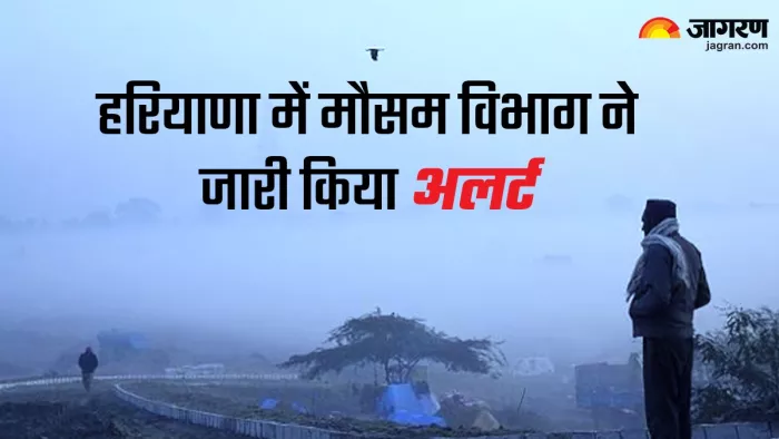 Haryan Weather News: मौसम विभाग ने 29 दिसंबर तक अति घना कोहरे की चेतावनी जारी की है।