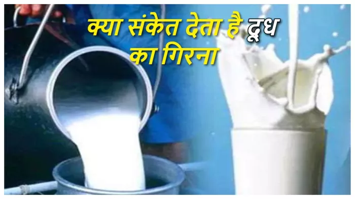 Meaning of spilling milk गिरता हुआ दूध दे सकता है अशुभ परिणाम, बचाव के लिए करें ये उपाय।