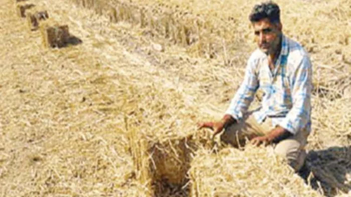 धान की फसल काटने के बाद पराली का प्रबंधन करता किसान (फाइल फोटो)