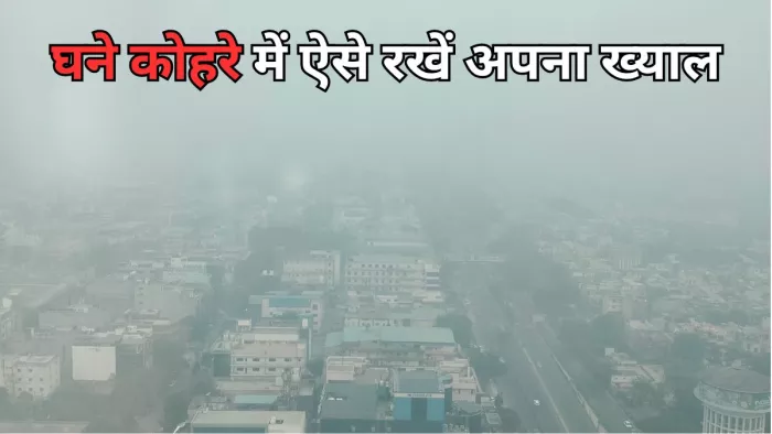घने कोहरे में ऐसे रहें स्वस्थ और सुरक्षित